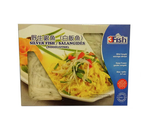 Noodle Fish - Silver Fish