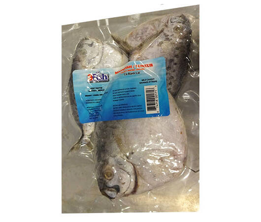 Whole Moon Fish