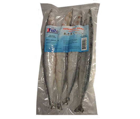 Pacific Saury